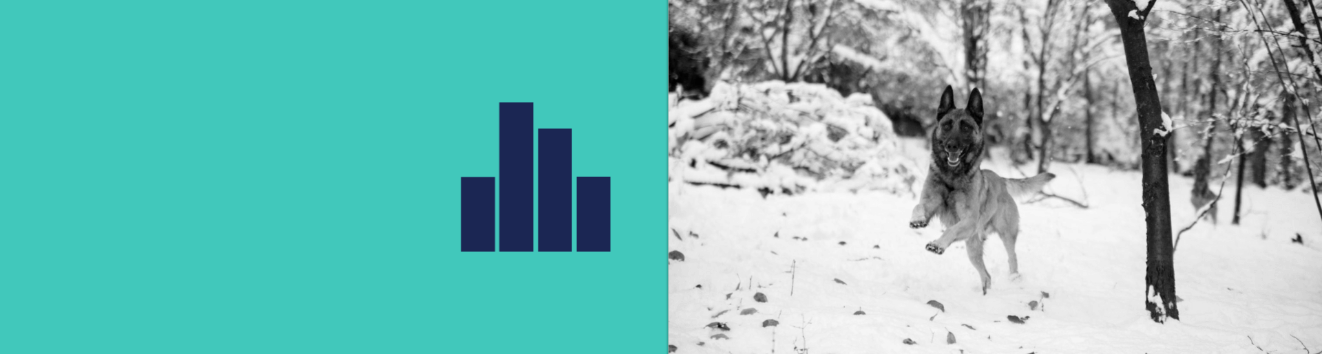 reduce bounce rate
