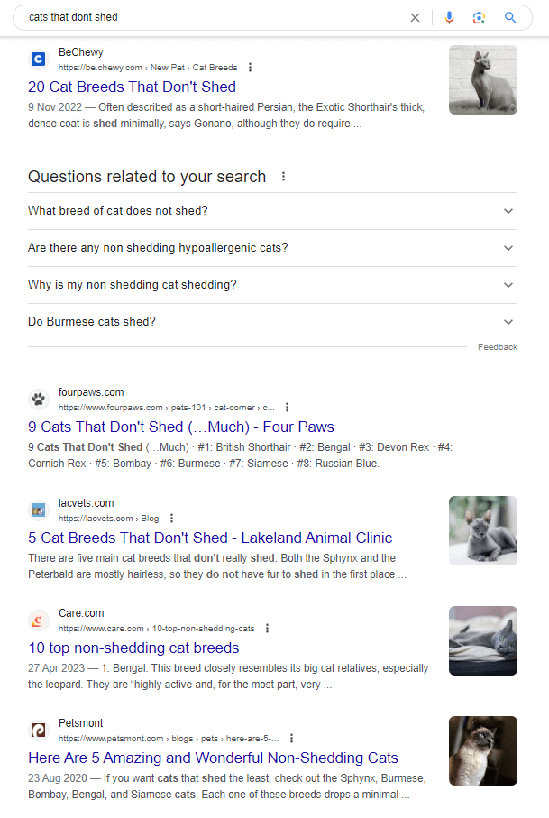 Google SERP for the query 'cats that dont shed'