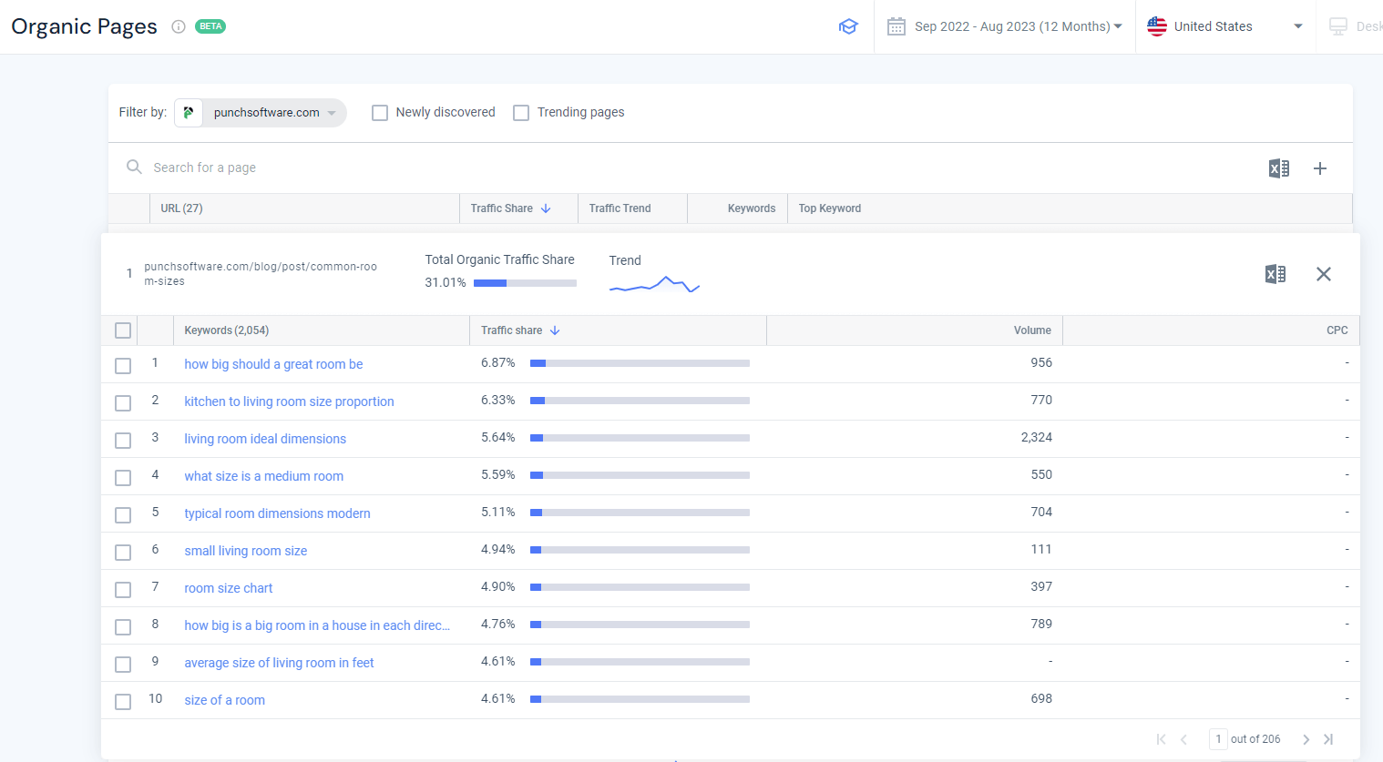 Organic Pages report showing the keywords punchsoftware.com is targeting