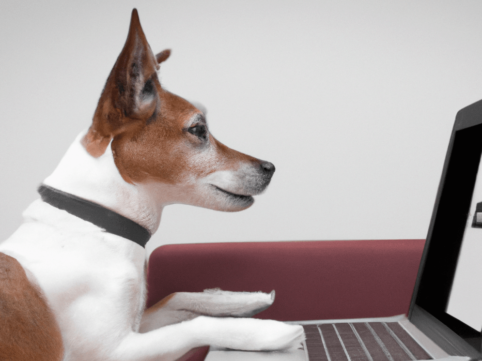 dog shopping online