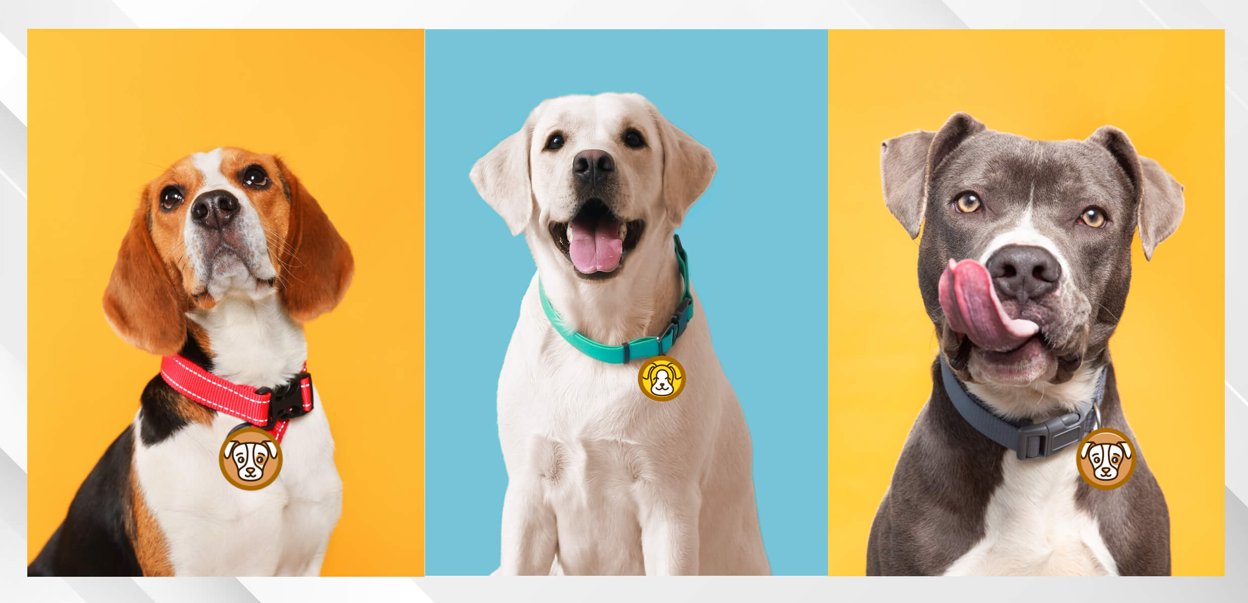 Target market example: Dog GPS