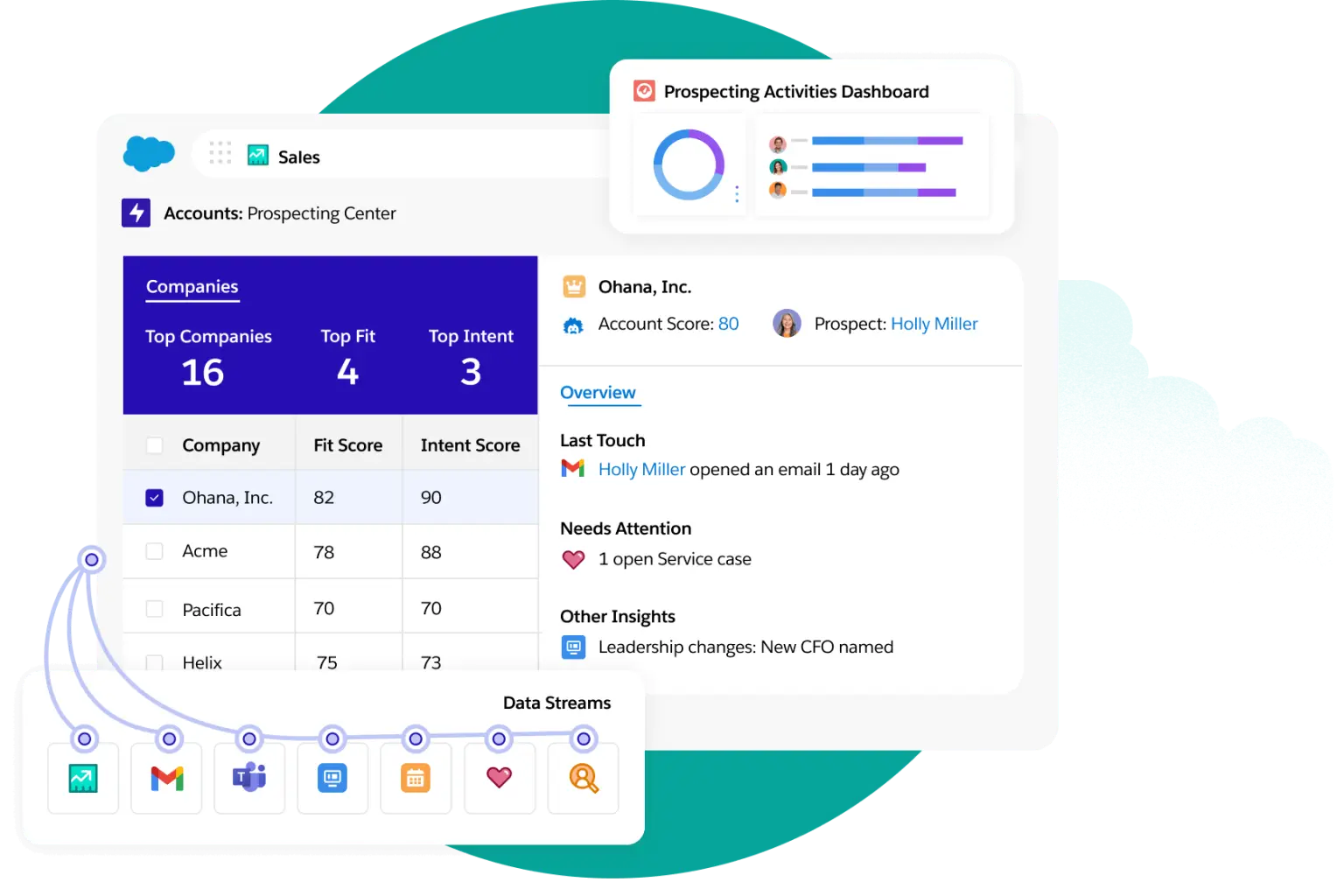 salesforce CRM