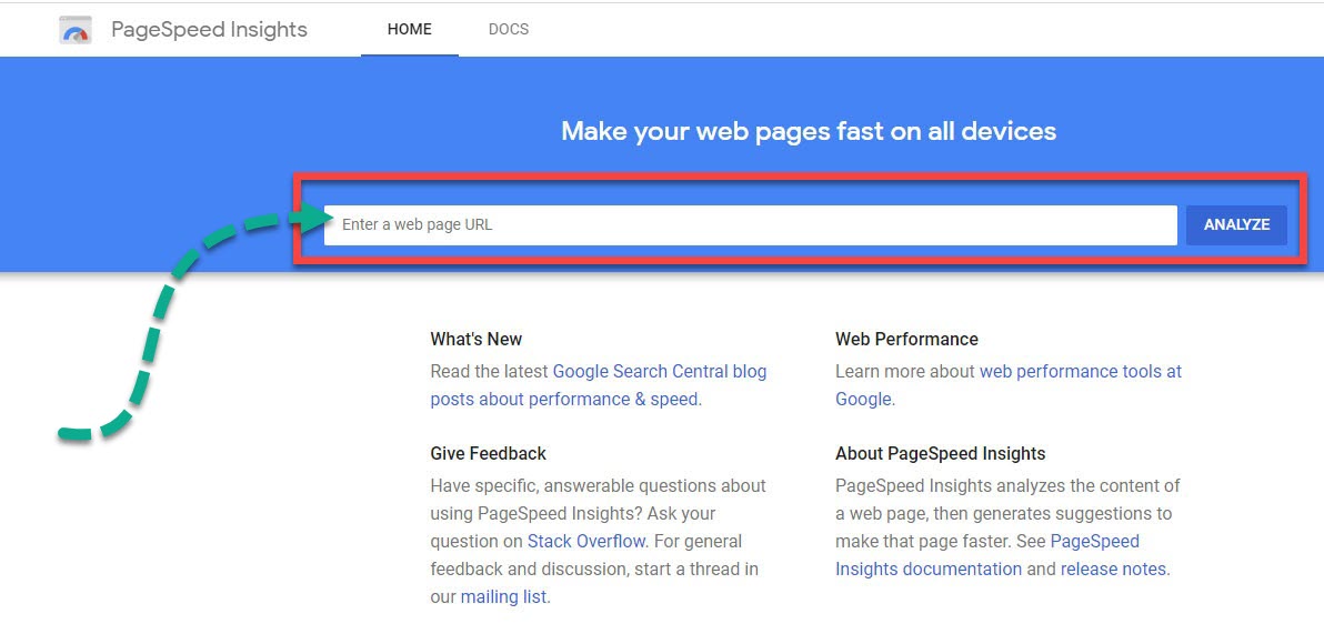 Submitting a URL in the Google PageSpeed Insights