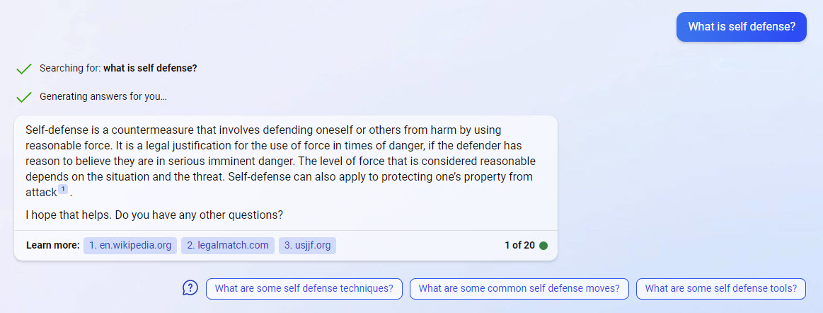 Bing Chat result for the beginning of a search journey