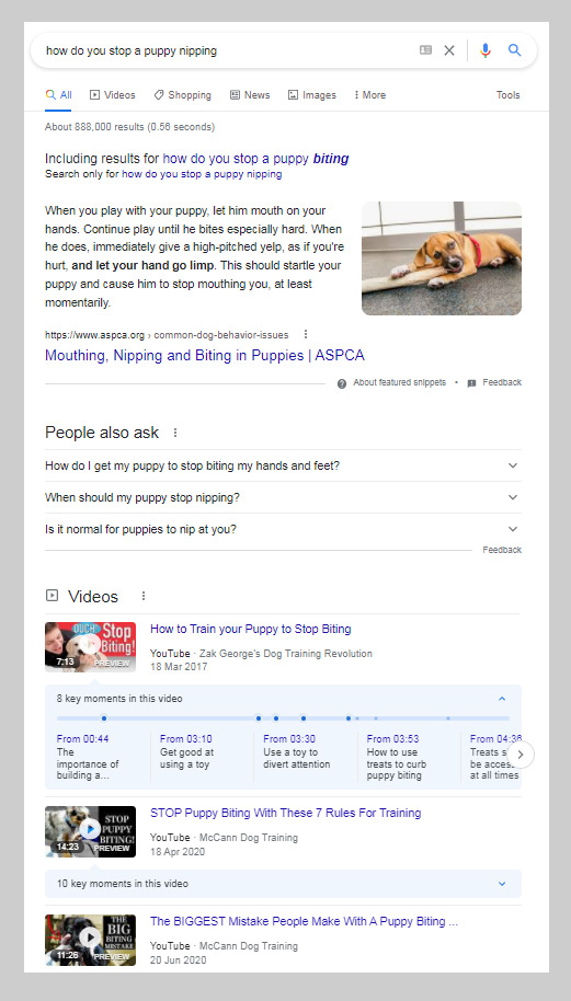 puppy nipping SERP