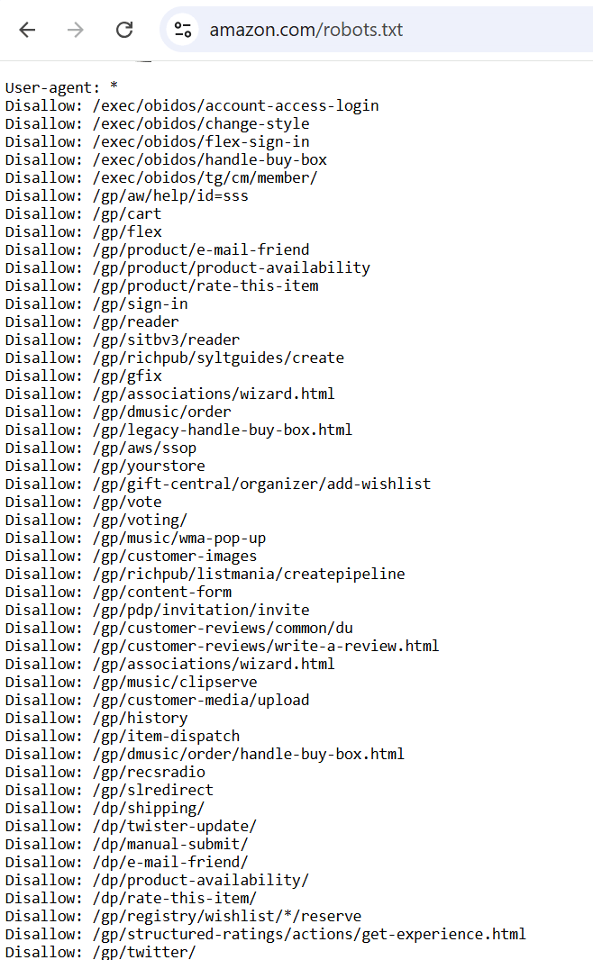 Amazon robots.txt file