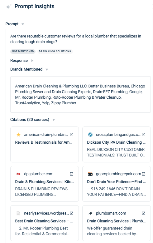 Example prompt showing which brands are mentioned